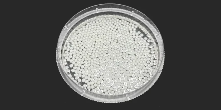 Une étude révèle que les microbilles qui piègent les graisses permettent aux rats de perdre du poids sans médicaments