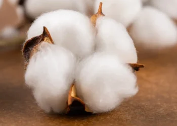 Une alternative "verte" potentielle au formaldéhyde et aux PFAS dans l'ennoblissement des tissus