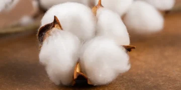 Une alternative "verte" potentielle au formaldéhyde et aux PFAS dans l'ennoblissement des tissus