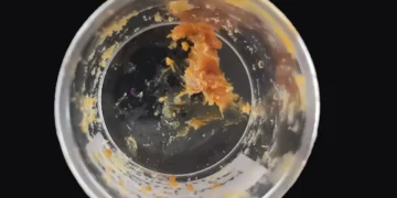 Est-ce que c'est à cela que ressemble un miel vieux de 2 500 ans ?