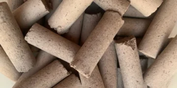 Des chercheurs utilisent des algues pour fabriquer des matières premières pour la construction civile