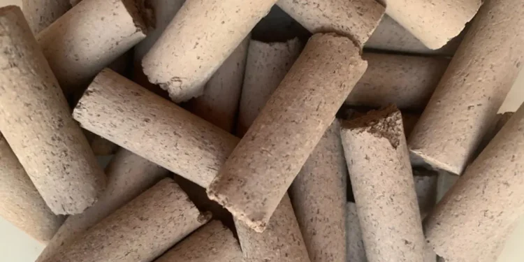 Des chercheurs utilisent des algues pour fabriquer des matières premières pour la construction civile