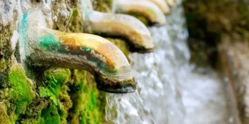 5 avancées pour protéger les sources d'eau et la disponibilité de l'eau