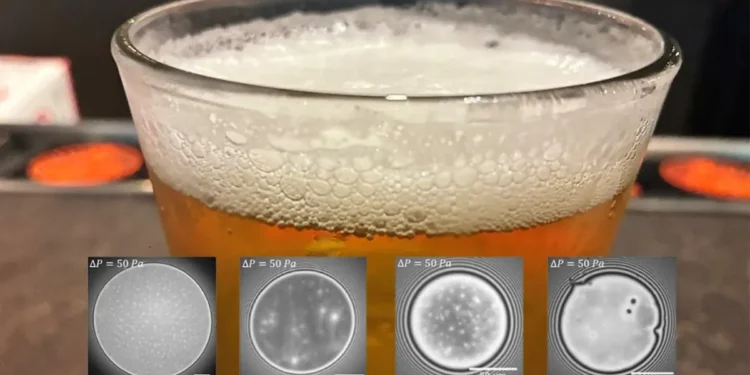 La recherche sur la stabilité des mousses trouve un sujet d'étude précieux dans un grand verre de bière