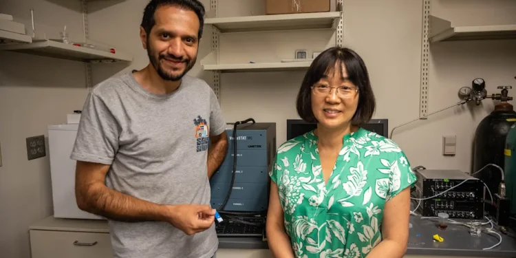 Un capteur inédit traque les fuites d’hydrogène avec une précision extrême