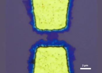 Une méthode sans transfert pour faire croître des semi-conducteurs ultraminces sur l'électronique
