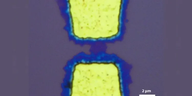 Une méthode sans transfert pour faire croître des semi-conducteurs ultraminces sur l'électronique