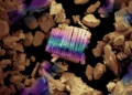 À 1600°C, des chercheurs assemblent des matériaux 2D jamais vus dans la nature