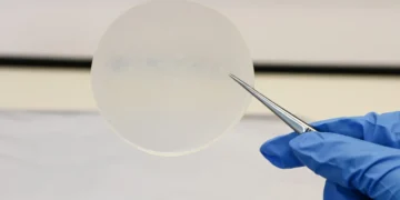 Un nouveau matériau dans un nouveau bioplastique