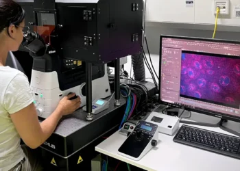 Les cellules souches, modèles inattendus pour la prochaine génération de puces informatiques ?