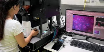 Les cellules souches, modèles inattendus pour la prochaine génération de puces informatiques ?