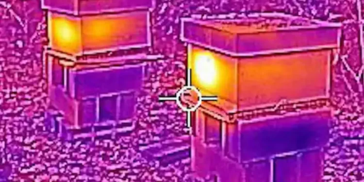 Comment les abeilles se tiennent chaud en hiver