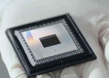 Les phases exotiques de la matière réalisées sur un processeur quantique