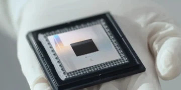 Les phases exotiques de la matière réalisées sur un processeur quantique