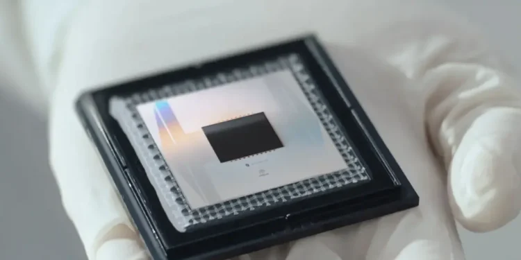 Les phases exotiques de la matière réalisées sur un processeur quantique