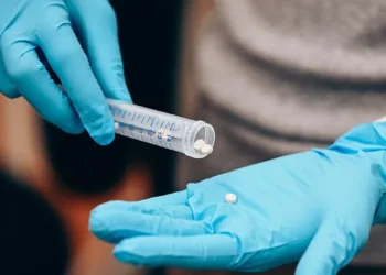 Quand les os cassés repoussent rapidement grâce à un implant biodégradable