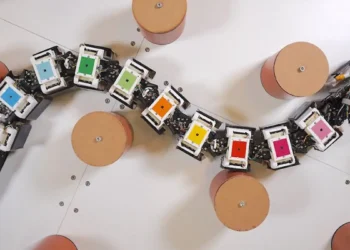 Des robots élastiques pour les anguilles ? L'étirement et la pression sont les clés des remarquables capacités locomotrices des anguilles