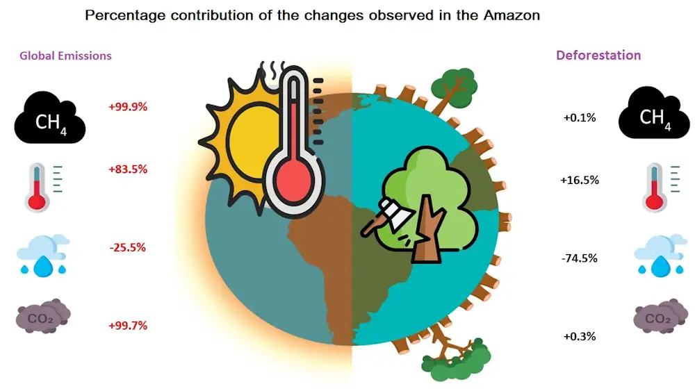 L'étude a analysé les données relatives à l'environnement, aux changements atmosphériques et à l'occupation des sols d'environ 2,6 millions de kilomètres carrés dans la région de l'Amazonie légale brésilienne sur une période de 35 ans (1985-2020) ; image : Marco Aurélio Franco et al./Nature Communications