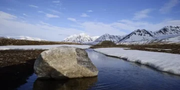 Un réchauffement de 2°C intensifie le puits de carbone arctique mais affaiblit le puits alpin