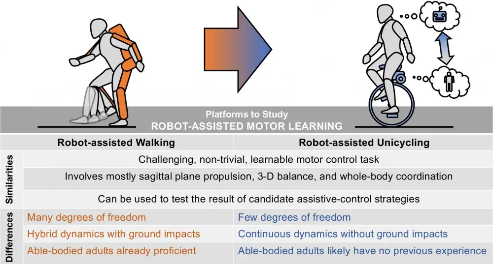 Légende : L'équipe de recherche étudie comment les gens acquièrent les compétences motrices du monocyclisme et comment les entraîneurs assistés par des robots et les outils d'intelligence artificielle qui les accompagnent peuvent contribuer à ce processus. L'étude constitue une étape vers des recherches futures et des plateformes de thérapie physique assistées par robot qui pourraient être appliquées aux patients qui réapprennent à marcher.
