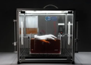 Hydra : et si nos futurs matériaux poussaient comme des plantes ?