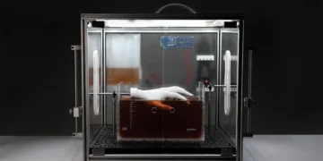 Hydra : et si nos futurs matériaux poussaient comme des plantes ?