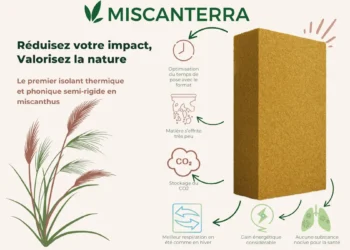 Miscanterra, le miscanthus s’invite dans l’isolation thermique