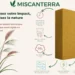 Miscanterra, le miscanthus s’invite dans l’isolation thermique