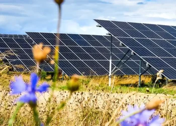 Vattenfall met en service le plus grand parc agrivoltaïque d'Allemagne