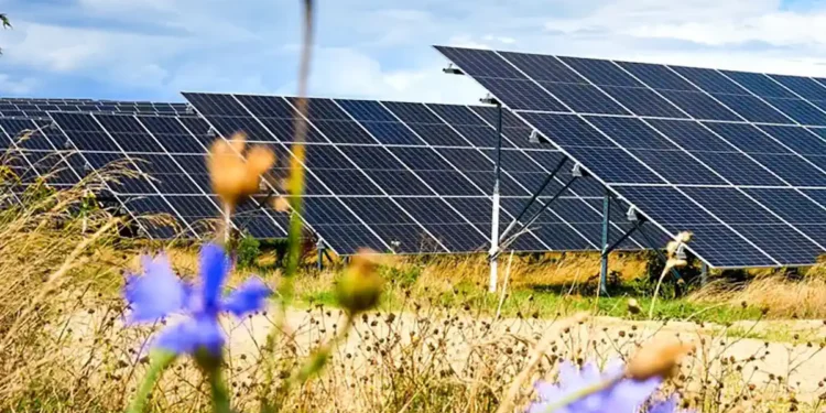 Vattenfall met en service le plus grand parc agrivoltaïque d'Allemagne