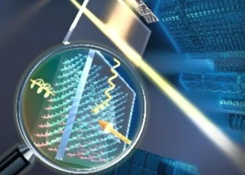 Fenêtres solaires : quand la transparence devient une source d’énergie