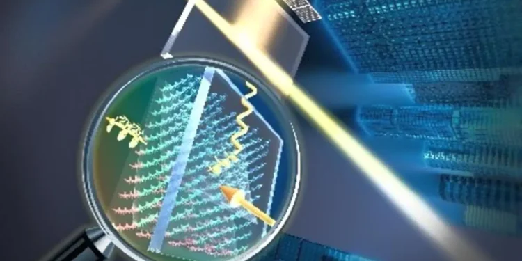 Fenêtres solaires : quand la transparence devient une source d’énergie