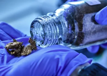 Des chercheurs dévoilent un plastique conducteur facile à produire et sans produits toxiques