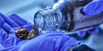 Des chercheurs dévoilent un plastique conducteur facile à produire et sans produits toxiques