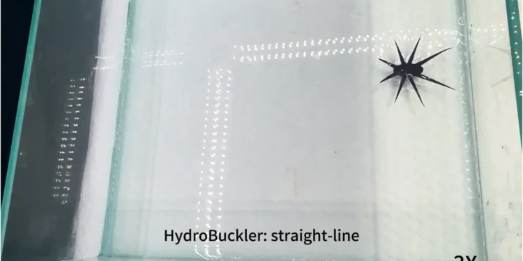 Des ingénieurs développent une nouvelle méthode pour construire des robots souples capables de marcher sur l'eau