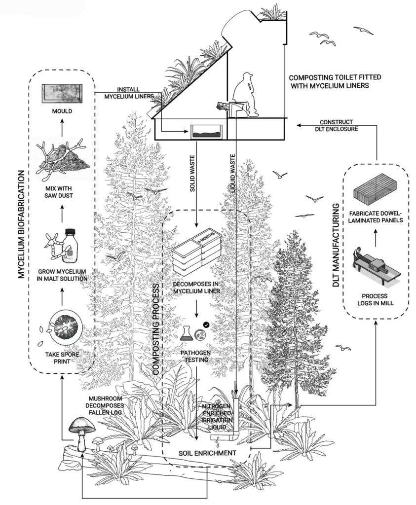 Le projet pilote Mycotoilet au jardin botanique de l'UBC créera un système en boucle fermée qui renverra les déchets solides et liquides dans les écosystèmes sous forme de sol et d'engrais riches en nutriments.
