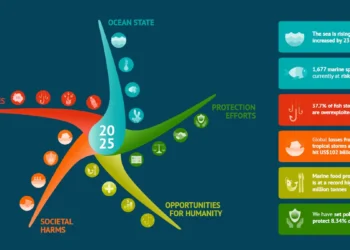 Rapport Copernicus : tous les océans restent affectés par des pressions sans précédent