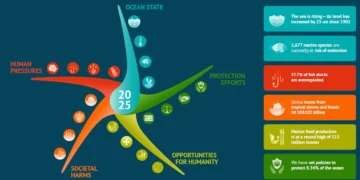 Rapport Copernicus : tous les océans restent affectés par des pressions sans précédent