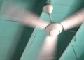 Les ventilateurs de plafond peuvent aggraver le stress thermique lorsque le mercure dépasse 31°C