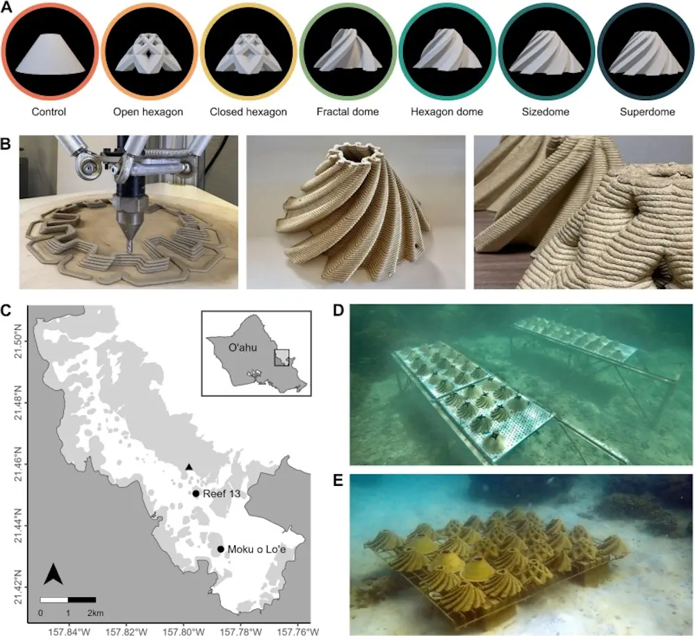  Conception et production des modules de colonisation des larves. (A) Sept modèles différents (contrôle, hexagone ouvert, hexagone fermé, dôme fractal, dôme hexagonal, sizedome et superdome) présentant différentes caractéristiques structurelles ont été comparés. (B) Les modules coniques d'installation des larves ont été construits à l'aide d'une imprimante 3D pour l'argile. Le gros plan montre la structure à micro-échelle horizontalement creusée sur la surface des modules cuits, créée par le processus d'impression 3D. (C) Carte de la baie de Kāneʻohe, Oʻahu, Hawaiʻi, montrant l'emplacement de l'étude, le récif 13 et Moku o Loʻe. Le triangle indique l'endroit du récif barrière où le recrutement naturel a été évalué à des fins de comparaison. Les zones gris clair indiquent la présence de récifs. Les modules de colonisation ont été déployés sur des tables sous-marines à (D) récif 13 et (E) Moku o Loʻe.