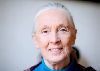 Jane Goodall, l’infatigable voix des chimpanzés et de la nature, disparaît à 91 ans