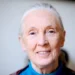 Jane Goodall, l’infatigable voix des chimpanzés et de la nature, disparaît à 91 ans