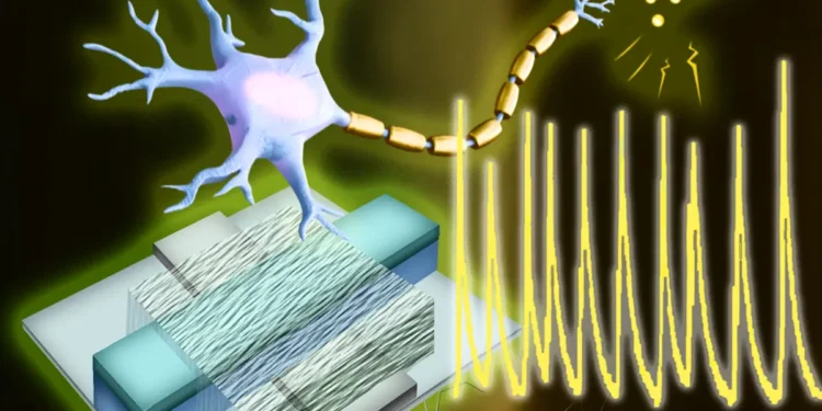Un neurone artificiel à seulement 0,1 volt, identique à nos neurones naturels