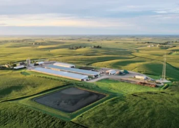 Le biogaz issu des déchets agricoles dope la richesse en carbone des sols