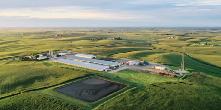 Le biogaz issu des déchets agricoles dope la richesse en carbone des sols