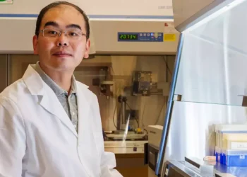 Une recherche associe les ondes sonores et l'intelligence artificielle pour accélérer la recherche biomédicale