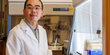 Une recherche associe les ondes sonores et l'intelligence artificielle pour accélérer la recherche biomédicale