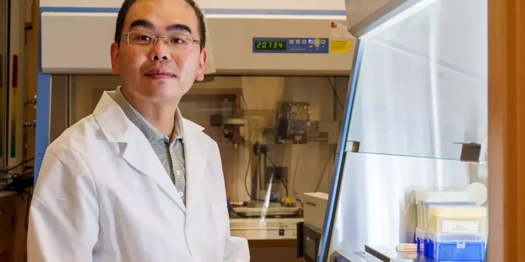 Une recherche associe les ondes sonores et l'intelligence artificielle pour accélérer la recherche biomédicale