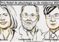 Prix Nobel de médecine 2025 : trois chercheurs honorés pour avoir percé les mystères de l'immunotolérance périphérique