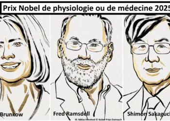 Prix Nobel de médecine 2025 : trois chercheurs honorés pour avoir percé les mystères de l'immunotolérance périphérique